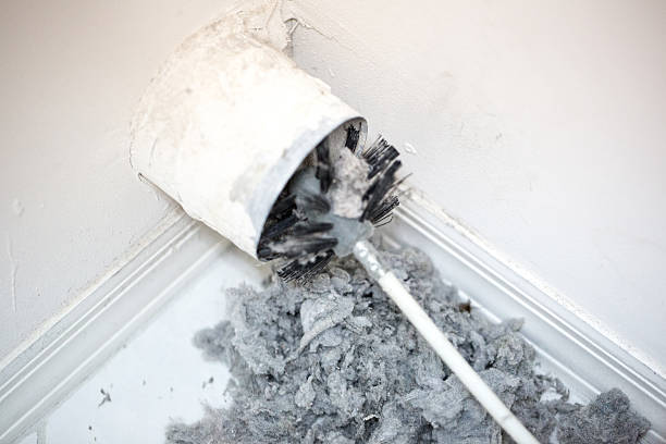 Best Ventilation Cleaning Services  in Lake View, AL